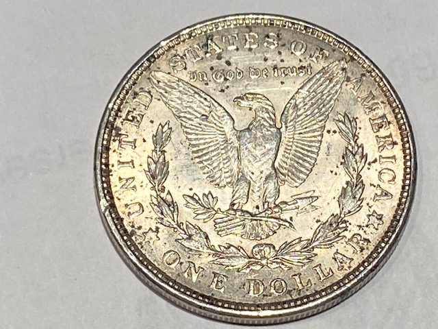 1921-Morgan-Dollar-My-Goal-Is-To-Learn-To-Grade-Morgans